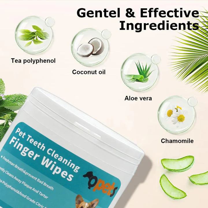 Branmart™ Pet Dental Wipes – 50 Wipes Pack