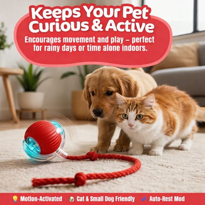 Branmart™ Smart Interactive Rolling Ball